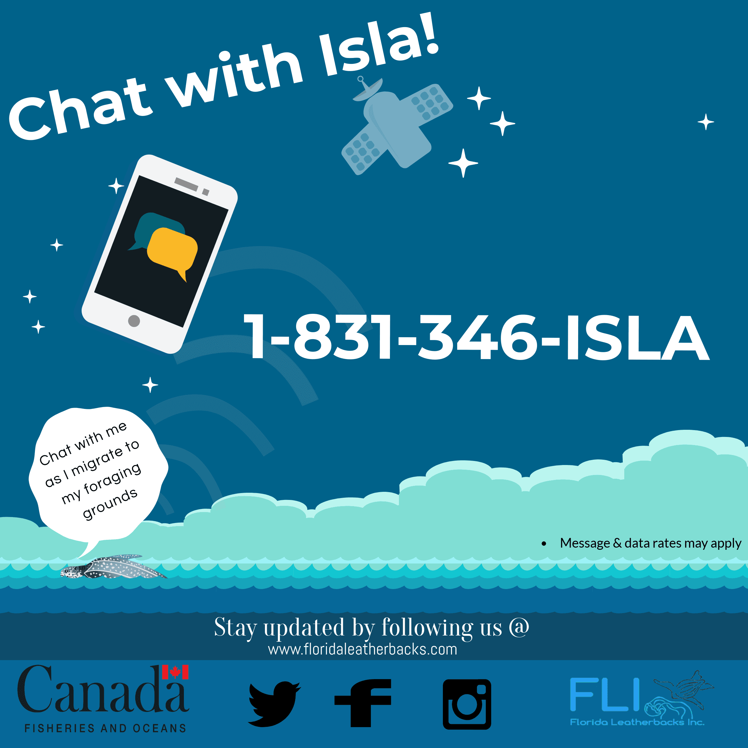 Chat with Isla the leatherback turtle