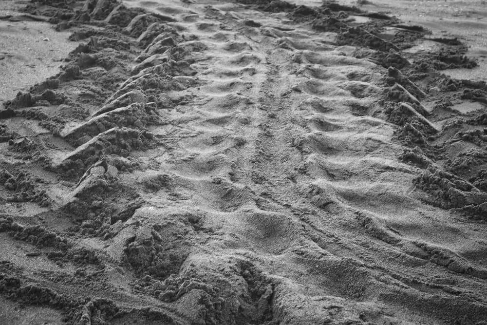 Well, they are here early!