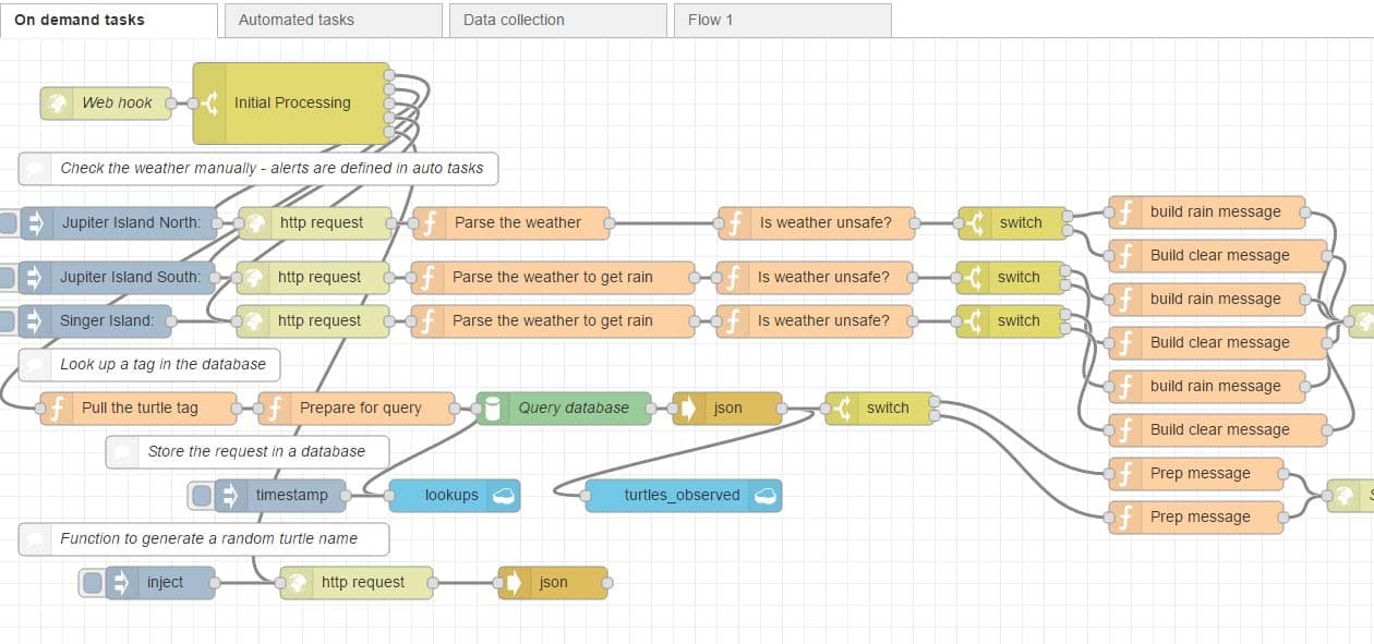 23 days until sea turtle nesting season here in Florida
