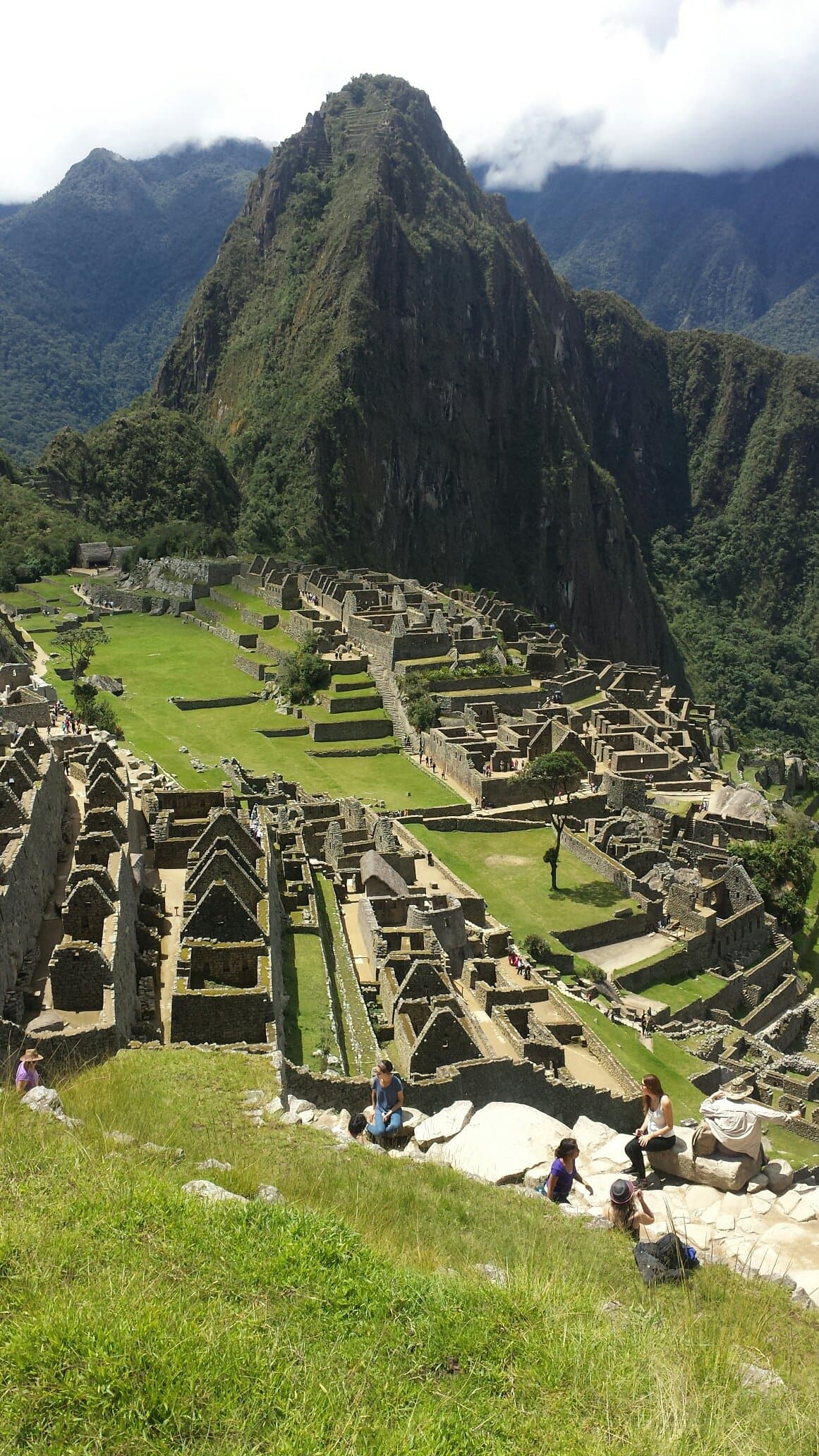 Sea Turtlers Invade Peru