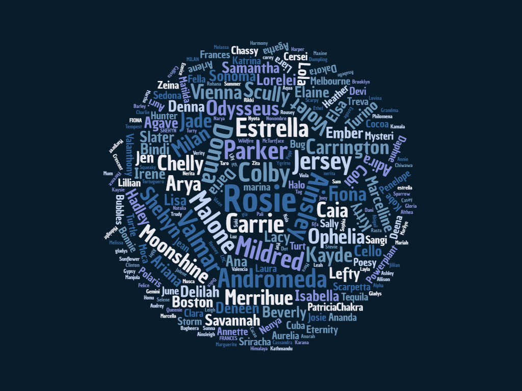 Why do we name our turtles?