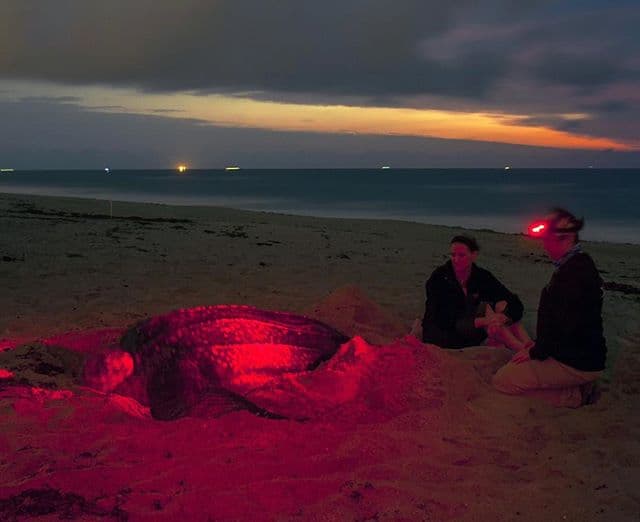 another perfect weekend