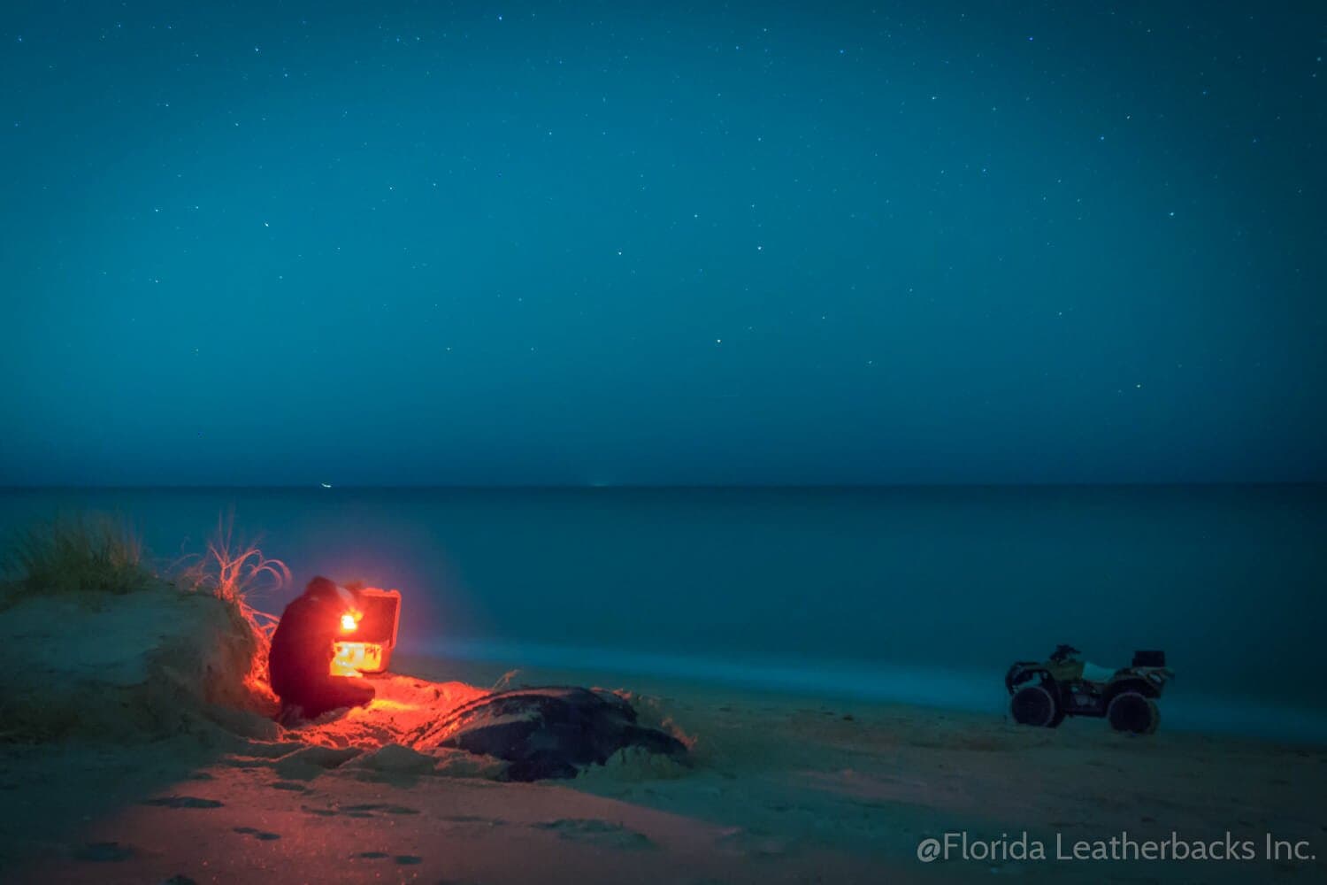 The Season Has Started!