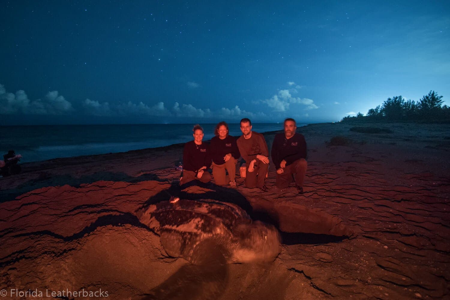 Tracking Excitement!