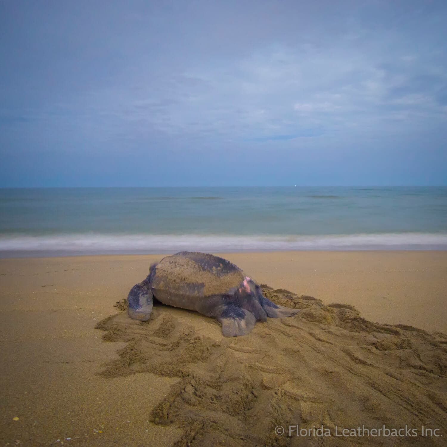 The 2019 season is almost here!